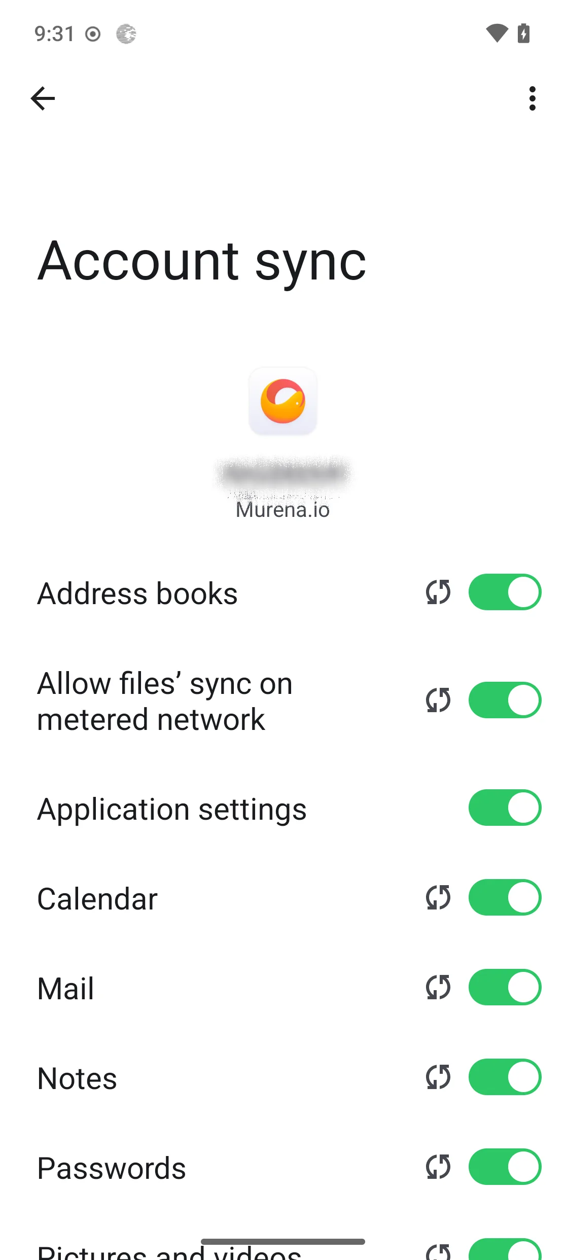 Per-item sync settings for the Murena account