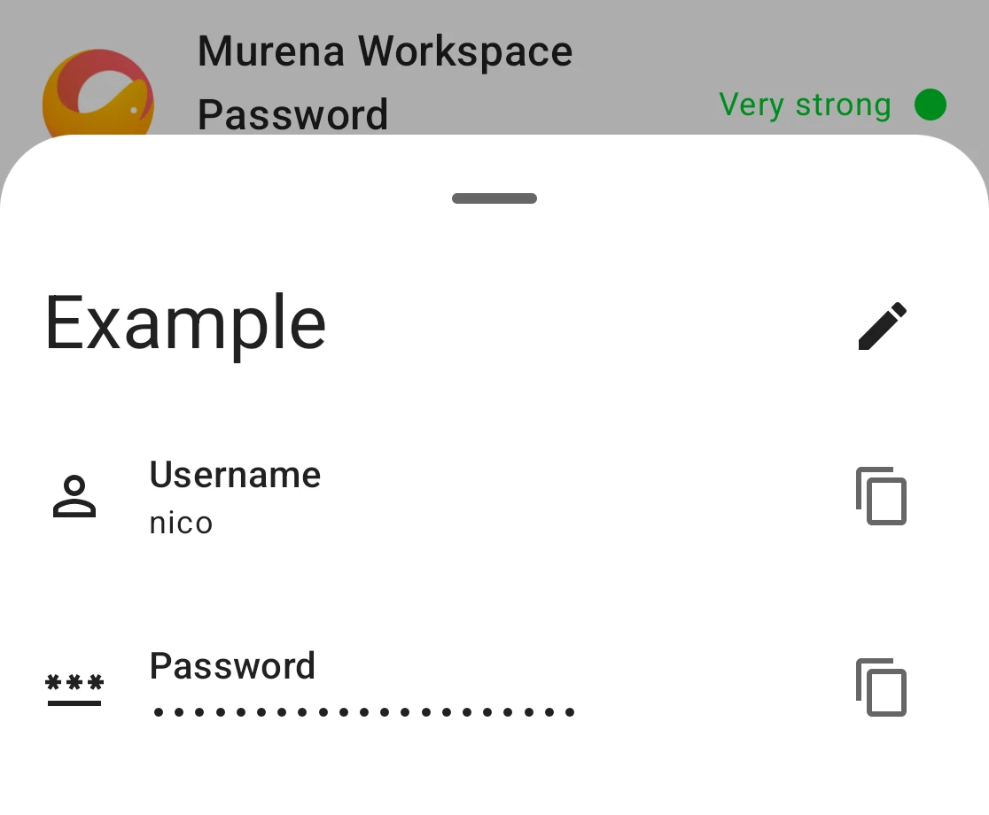 Password detail view with copy buttons and a security rating