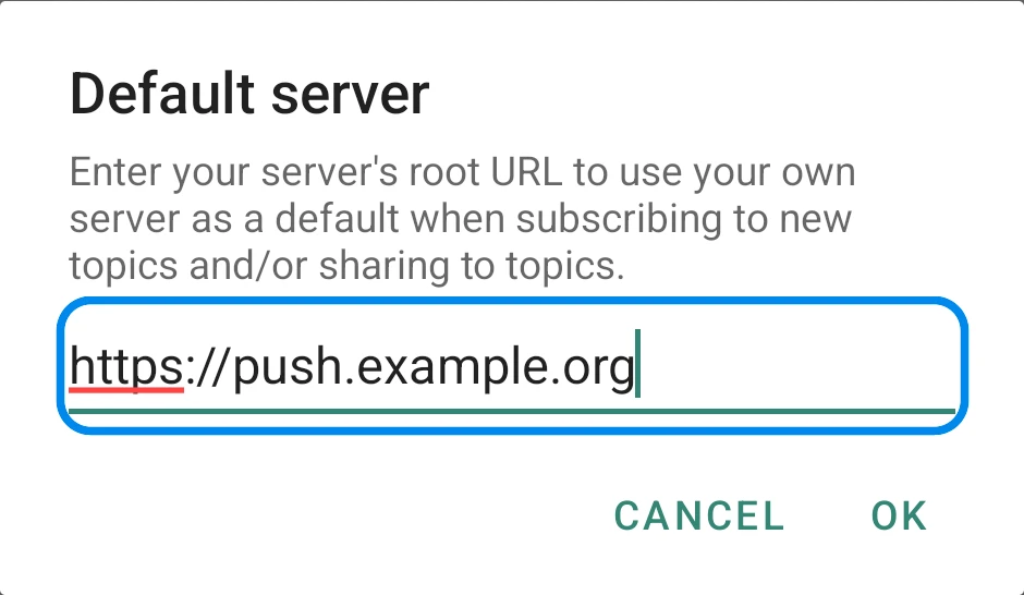The Default server dialog with the URL of a custom server